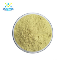 Undersun supply 95% Rutin Natural Sophora Japonica Extract for Health Care